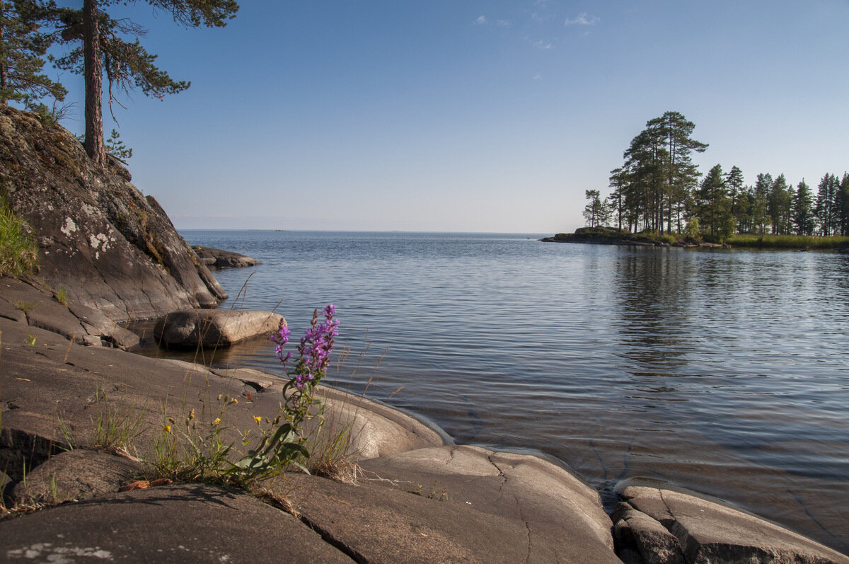 Есть онежское озеро. Озеро Онего Карелия. Берег Онежского озера Петрозаводск. Онежское озеро Медвежьегорск. Онега Онежское озеро.